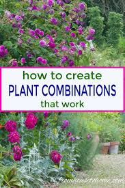 10 Tips For Creating Plant Combinations That Work Gardening From House To Home Plants Plant Combinations Beautiful Gardens