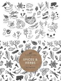 Spices And Herbs Vector Flower Doodles Spice Logo Tea Illustration