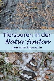 Tierspuren rätsel zum ausdrucken : Tierspuren Finden Tipps Fur Den Ausflug Durch Den Wald