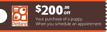 Stay with your furry friend at one of 176 hotels or accommodations that accept pets. Petland Sarasota Florida Premium Pets Supplies Puppies For Adoption