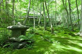 Peaceful Moment In Mossy Japanese Garden Kyoto Japanese Garden Kyoto Garden Japanese Garden Design