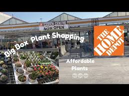 You'll find seeds for many species of plants and flowers, soil, mulch, watering cans, hoses, planters, fertilizers, gardening tools and more. Home Depot Annuals Coupon 07 2021