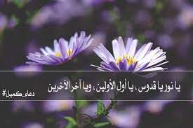 يا نور يا قدوس يا أول الأولين ويا آخر الآخرين دعاء كميل islam life plants
