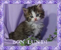 Résultat de recherche d'images pour "bon lundi images"