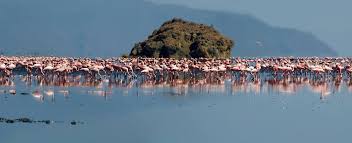 Lake Natron