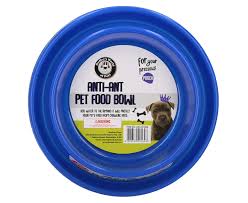 The solution to the ant problem is to put a water moat around the cat food bowl. Dudley S World Of Pets Anti Ant Pet Food Bowl Randomly Selected Catch Com Au