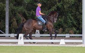 Find the perfect edward gal stock photos and editorial news pictures from getty images. Die Europameisterschaft Dressursport Am Scheideweg Und Totilas In Rente Dressur Studien