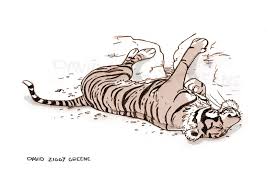 Sleeping Tiger print | David Ziggy Greene