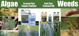 Aeration makes your lake feel younger. Does Copper Sulfate Kill Pond Weeds Sanco Industries