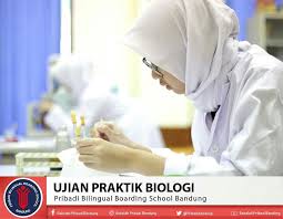 Check spelling or type a new query. Pribadi Bandung V Twitter Ujian Praktik Biologi Kelas 9 Smp Pribadi Bandung 2018 2019 Practicalexam Biology Ujianpraktik Ujianpraktikbiologi Sekolahpribadibandung Sekolahjuara Sekolahtop Avengers Avengersendgame Captainmarvel Debatpresiden