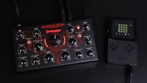 Image result for Erica microdonta