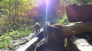 Jump to navigation jump to search. Wandern Be Cause Style Travel Collecting And Food Blog