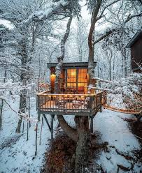 Pin On Winter Garden Blog