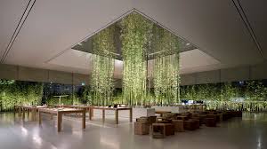 Check spelling or type a new query. Foster Partners Designs Apple S New Cotai Central Store An Urban Oasis Of Tranquility In Bustling Macau News Archinect