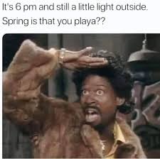 Spring Bright Funny Images All The Things Meme Memes