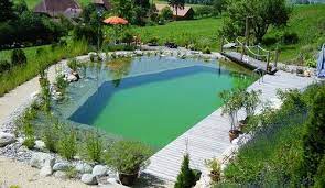 piscine naturelle piscine ecologique piscine etang