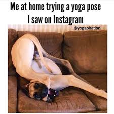 Yoga Memes Yoga Funny Memes Funny Yoga Memes Yoga Memes Funny Pilates Memes Yoga Funny Humor Yoga Humor Funny Yoga Memes Workout Memes Funny Yoga Quotes Funny