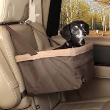 Dachshund Accessories For Dogs Dachshund Central