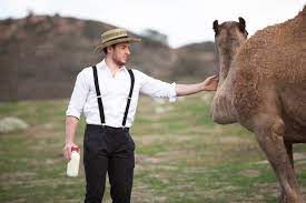 You can easily send the most delicious and luxurious camel milk chocolates from al nassma chocolatier with joigifts. How A Saudi Dairy Farmer Brought Camel Milk To The Us Arab News
