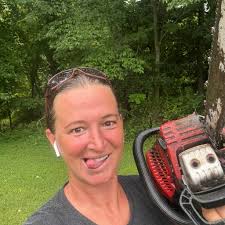 What to do about little bugs in soil when planting tomatoes?