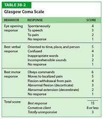 The Glasgow Coma Scale Gcs For First Aiders Glasgow Coma Scale Emergency Nursing Icu Nursing