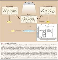 Discover the common causes and risk factors of jaundice to be aware of today. Pdf Phototherapy For Neonatal Jaundice Semantic Scholar