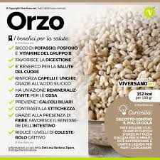 Orzo Proprieta Benefici Valori Nutrizionali E Controindicazioni