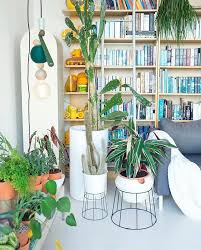 4 178 Likes 101 Comments Igorjosif On Instagram Hello Hump Day Hello Friends Indoor Plants Diy Indoor Plants Low Light Colorful Area Rug