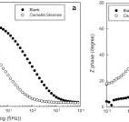 Inhibition of the Cu65/Zn35 brass corrosion by natural ...