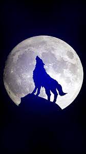 Download Wolf Moon Wallpaper By Dathys 3c Free On Zedge Now Browse Millions Of Popular Loup Wallpa Wolf Wallpaper Wolf And Moon Tattoo Wolf Spirit Animal