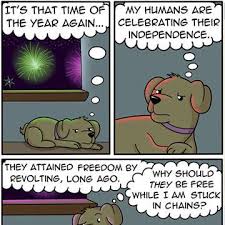 We did not find results for: A Dog S Independence Comics The Odd Ones Out Happy Presidents Day