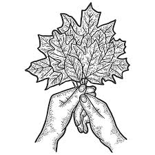 Maybe you would like to learn more about one of these? Sketching Nature With Kids Your Connection To Wildlife