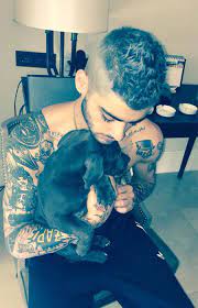 How is zayn new tattoo? Zayn Malik Has Covered Up His Tattoo Of Perrie Edwards Hello