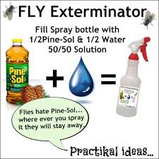 Share the best gifs now >>>. Keep The Flies Away Easily With This Combination Half A Spray Bottle Of Pine Sol And The Other Half With Water Inten Fly Repellant Diy Fly Repellant Fly Spray