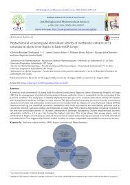 Image result for Solanecio cydoniifolius