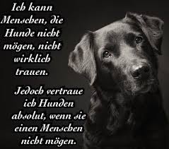 labrador zitat hundlabrador zitat hund labrador zitat hund labrador zitat hund labrador quotes labrador retriever art dog quotes