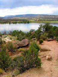 The park takes its name from the remnants of ancient trees which have been transformed into brilliantly colored minerals through a series of geological processes. Campground Details Escalante Petrified Forest State Park Ut Utah State Parks