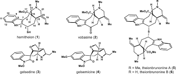 Image result for Mostuea brunonis