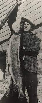In 2018 alone, 226 muskie over 40 inches. World Record Muskie Louie Spray Caught Fish Near Hayward 70 Years Ago