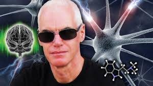 The Labyrinth of Time by Anthony Peake