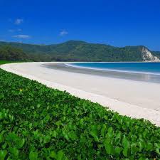 Tarimbang Beach Sumba Island Indonesia Pantai Bali Indonesia