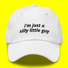 I'm Just a Silly Little Guy Funny Hat, Funny Hat for Teens, Meme Hat, Meme  Sticker, Meme Clothes, Funny Clothes, Funny Gift for Friend - Etsy