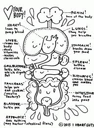 Get excited about the brain! Organs Coloring Pages Coloring Home