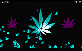44 Live Weed Wallpapers For Laptop On Wallpapersafari Hd weed wallpapers that you can download for free for your iphone, ipad, android, tablet, pc, tv or mac. 44 live weed wallpapers for laptop on