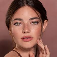 Echo Brown Contact Lenses(12 months wear)