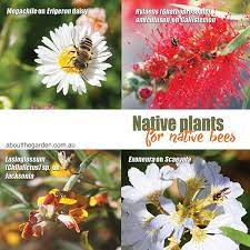 Many of us do not have much space for gardens, or, because of our busy lifestyles we do not have the time to maintain them. Bring In The Bees To Your Garden Native Plants For Native Bees About The Garden Magazine