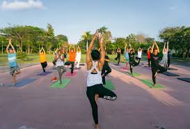 There are a broad variety of yoga schools, practices, and goals in hinduism, buddhism, and jainism and there are four paths or types of yoga: What Does Yoga Mean The True Definition And History Laptrinhx News