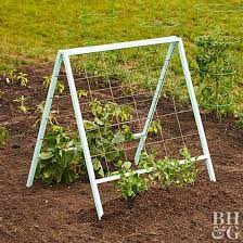 3 Steps To An Easy Vegetable Trellis Vegetable Trellis Vertical Vegetable Garden Vertical Vegetable Gardens