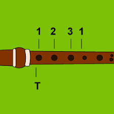 Recorder notes chart fingering chart all notes ! Free Recorder Sheet Music Lessons Resources 8notes Com