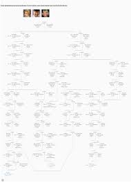 some genealogical connections between prince charles lady